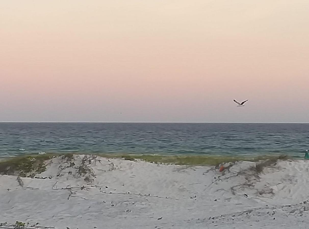 Paraiso Dunas Em